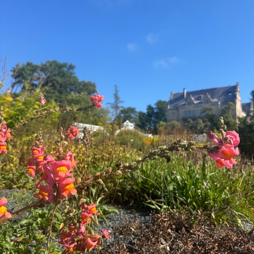 Meet your Posher, Michaela